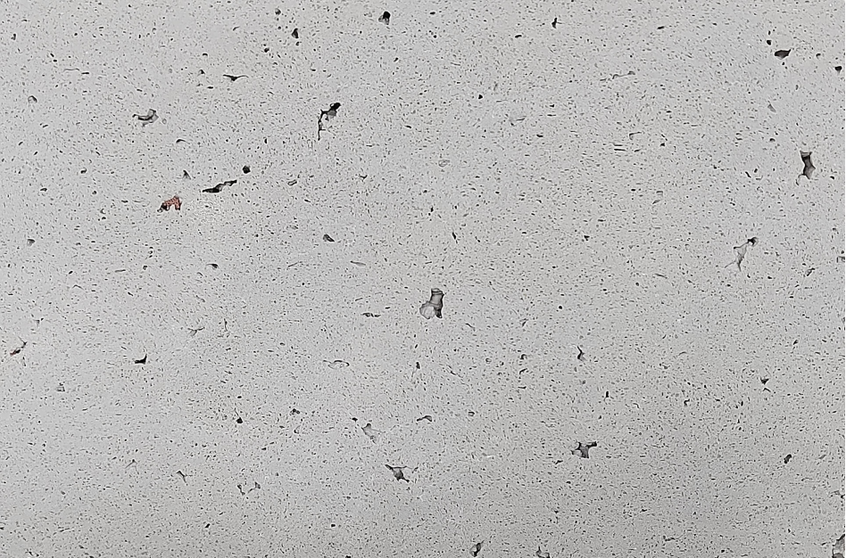 Natural White Travertine