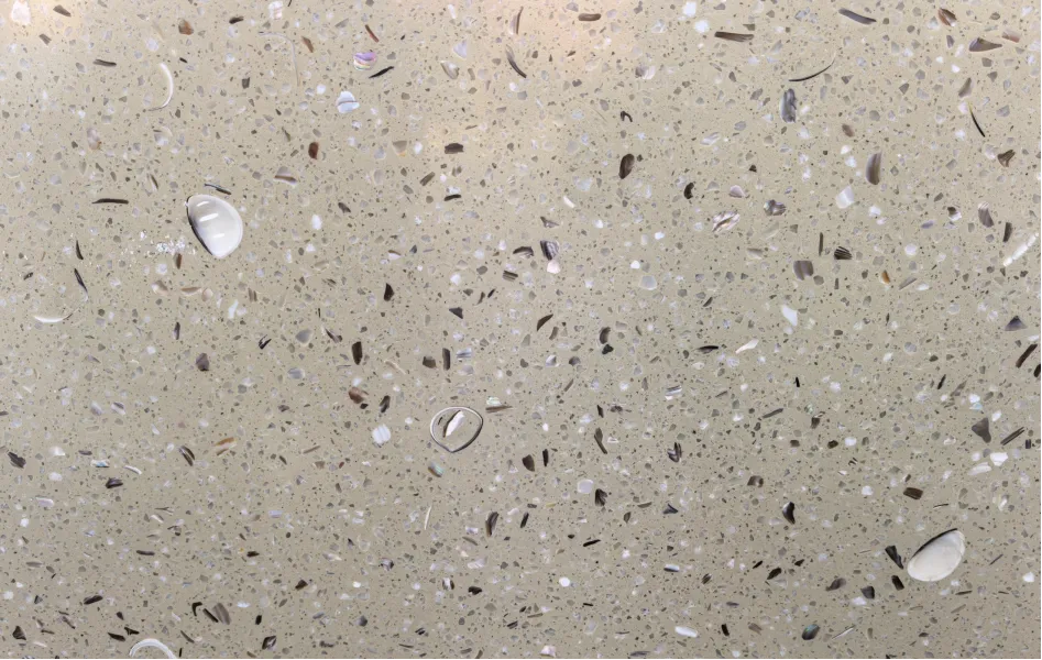 Sea Shell Beige Terrazzo