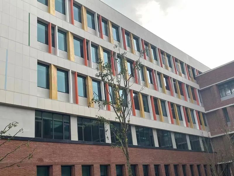Shanghai Lingang Fengxian Park School  Project